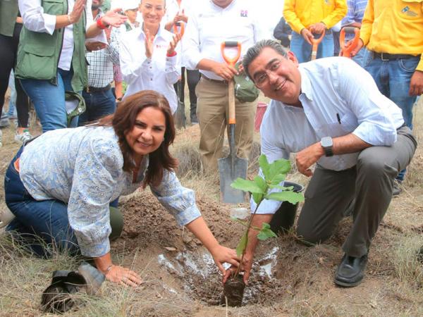 Inicia Sergio Salomón programa de reforestación en Parque Estatal “Flor Del Bosque”