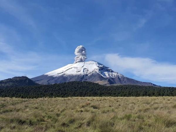 Protegen gobierno estatal y federación seis áreas naturales con 253 mil hectáreas