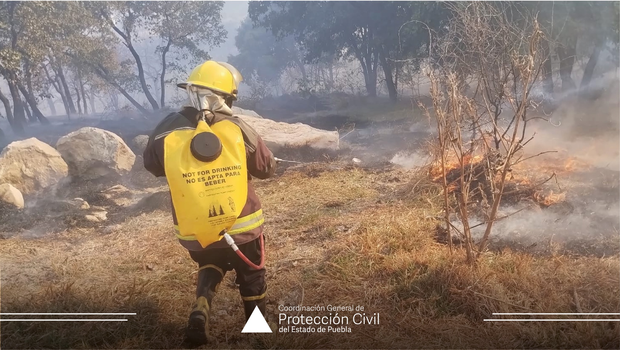 Protección Civil atiende incendio en Bosques de Chapultepec