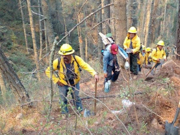 Intervienen tres órdenes de gobierno para liquidar incendio en Libres