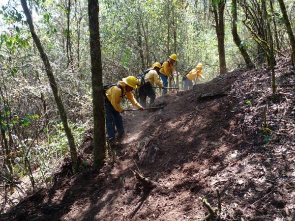 Reporta Medio Ambiente 14 incendios en un solo día