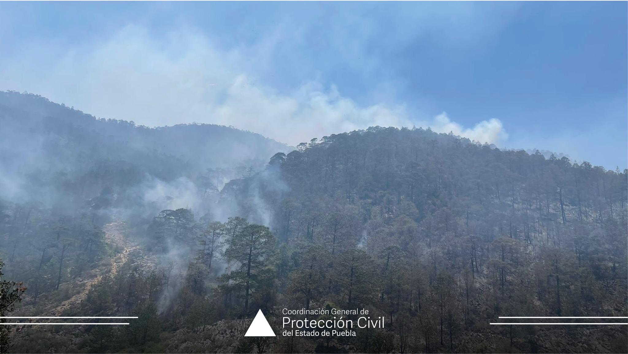 Protección Civil atiende incendio forestal en Ajalpan