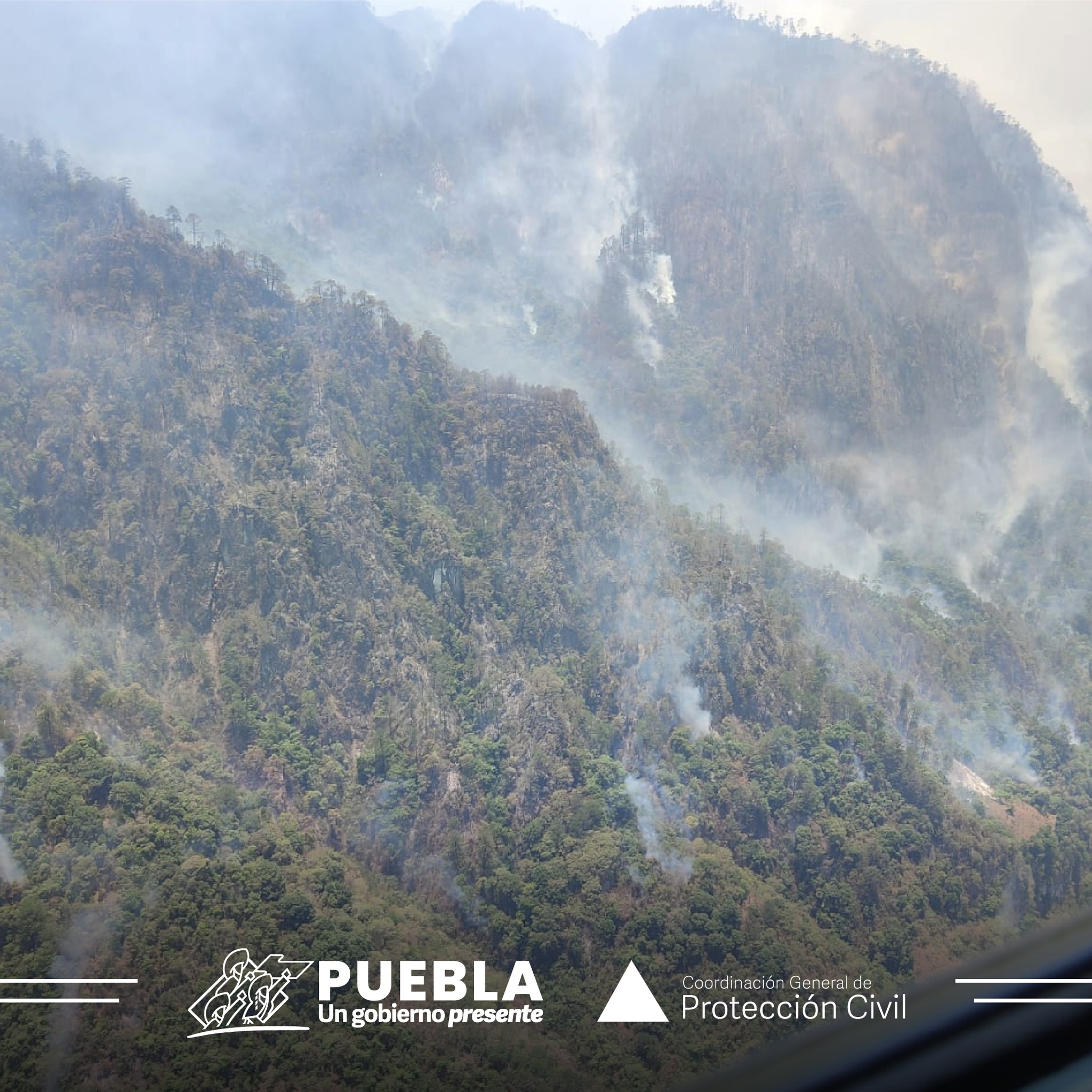 Protección Civil atiende incendio forestal