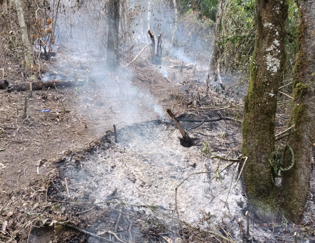 PC atiende incendio forestal en Necaxaltépetl