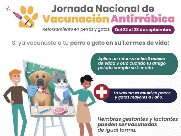 Anuncia Salud reforzamiento de vacunación antirrábica para perros y gatos